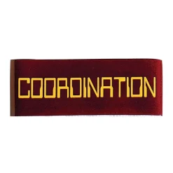 Discount Century US Retail Achievement Belt Tape - Coordination