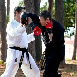 Discount Century US Retail Brave MMA Competition Glove