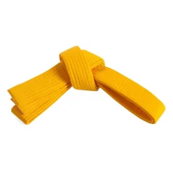 Clearance Century US Wholesale Double Wrap Solid Belt