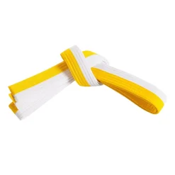 Discount Century US Wholesale Double Wrap Two Tone Belt