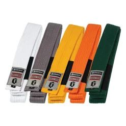 Best Gameness Youth Belt