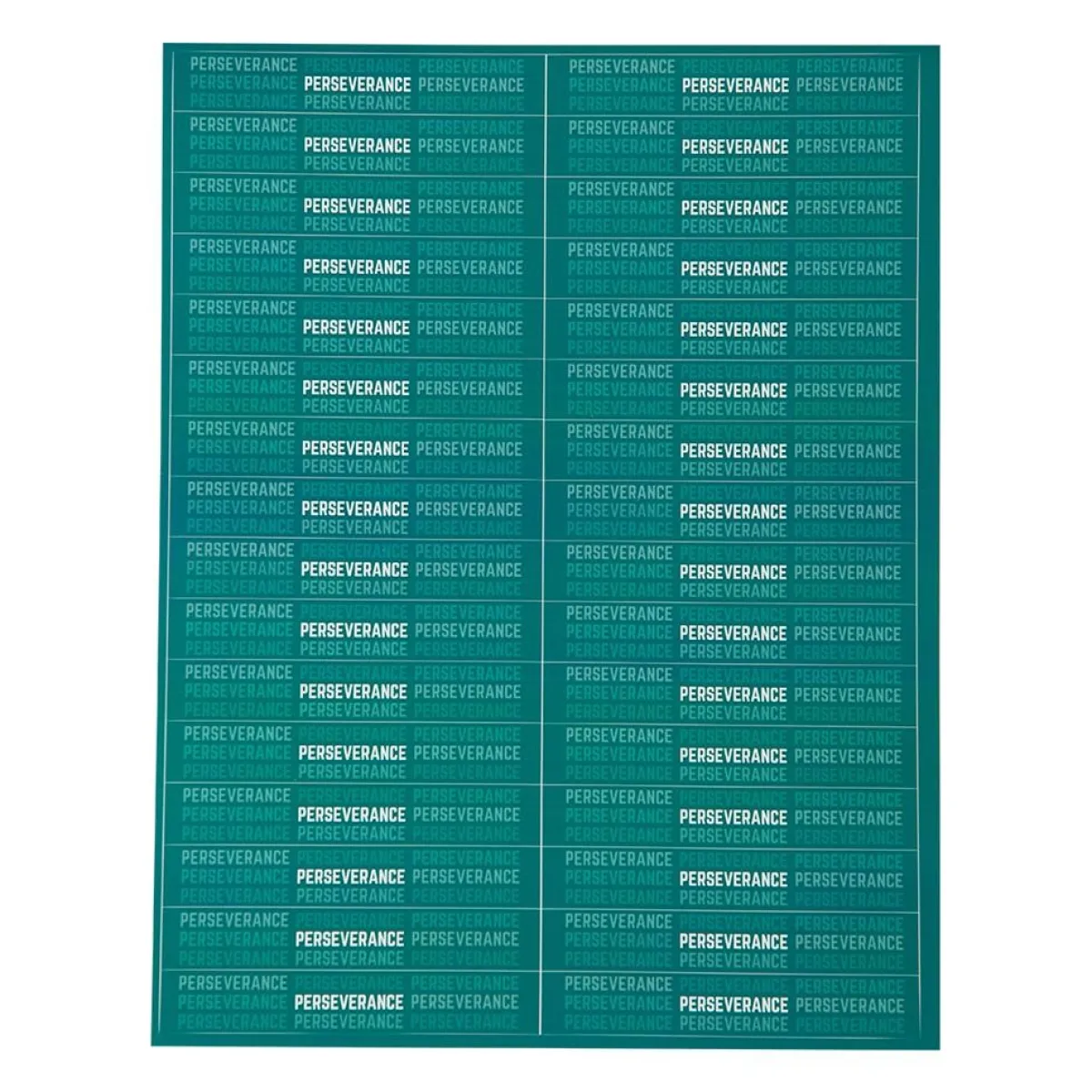 Discount Century US Retail Perserverance Belt Stripe