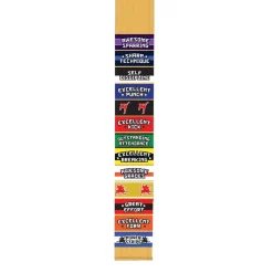 Discount Century US Retail Power Belt Stripe - Excellent Kick