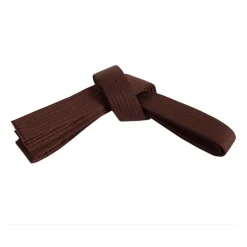 Century US Retail Single Wrap Solid Belt