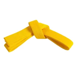 Century US Retail Single Wrap Solid Belt