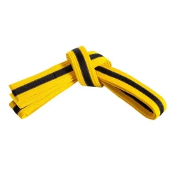 New Century US Retail Single Wrap Striped Belt