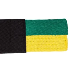 Discount Century US Retail Youth Jiu-Jitsu Belt